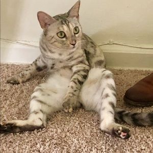 Meet your Posher, Aden